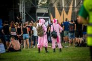FOTO. 9.edycja Cieszanów Rock Festiwal na zdjęciach