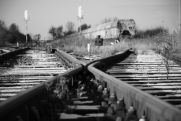 Zdjęcia pasjonatów fotografii z Nowej Dęby w WDK
