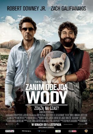 Zanim odejdą wody