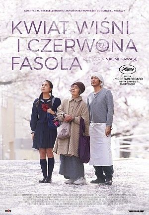 Fot. Zorza