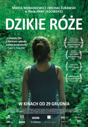 Dzikie róże - Kultura Dostępna