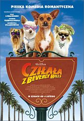 Cziłała z Beverly Hills