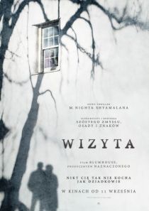 Wizyta