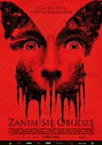 Zanim się obudzę
