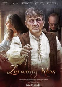 Zerwany kłos