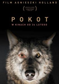 Pokot - Kultura Dostępna