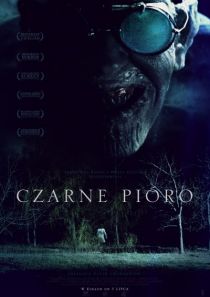 Czarne pióro