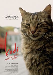 Kedi - sekretne życie kotów (2D, napisy)