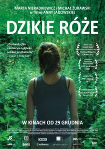 Dzikie róże - Kultura Dostępna