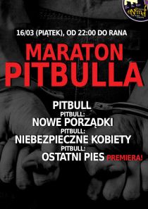ENEMEF: Maraton Pitbulla