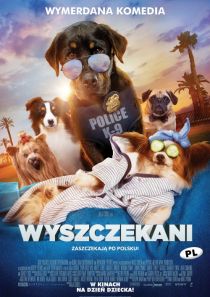 Kino na Temat: Wyszczekani 