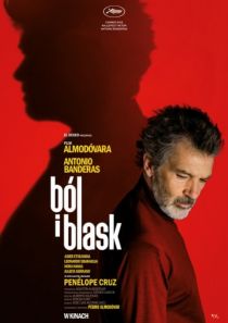 Ból i blask 