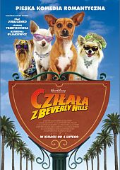 Cziłała z Beverly Hills