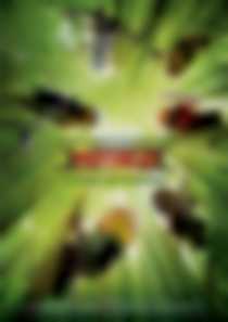 Lego Ninjago