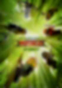 Lego&#174; Ninjago: Film (dubbing)