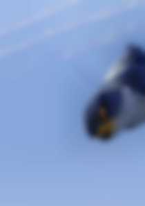 Zambezia