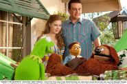 Muppety - kadr 3