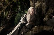 Hobbit. 3D - napisy (wersja 48 klatek) - kadr 3