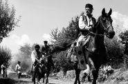 Fot. Zorza