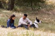 &copy;2008 Columbia Pictures Industries, Inc. and Beverly Blvd LLC All Rights Reserved.