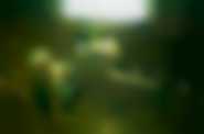 dyst.  Forum Film