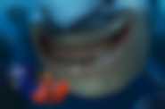 Gdzie jest Nemo 3D? - kadr 1