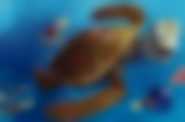 Gdzie jest Nemo 3D? - kadr 4