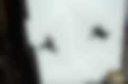 Assassins Creed 3D Napisy - kadr 3