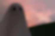 A Ghost Story - kadr 1