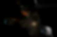 Profil facebookowy Show Dogs Movie
