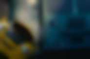 fot. Multikino