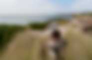 fot. Monolith Films