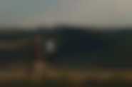 fot. Next Film