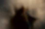 fot. United International Pictures Sp z o.o.