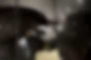 Obcy kontra Predator 2, dyst. Imperial - Cinepix