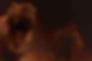 &copy;MMVIII New Line Productions, Inc. All Rights Reserved. &copy; 2008 Warner Bros Entertainment Inc.