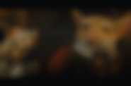 Copyright: &copy; 2008 Universal Studios. ALL RIGHTS RESERVED.