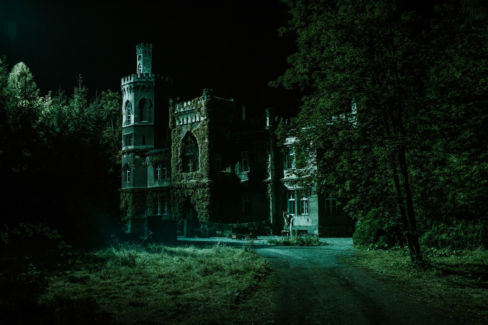 Kadr z filmu "Wilkołak", dyst. Velvet Spoon