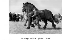 Wernisaż wystawy fotografii &#8222;Wstępy&#8221;