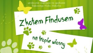 Wystawy, spotkania i wieczorki poetyckie