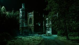 Kadr z filmu "Wilkołak", dyst. Velvet Spoon