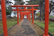 "Rzeszowskie Spotkania z Podróżami". Autostopem przez Polskę i wyprawa do Japonii